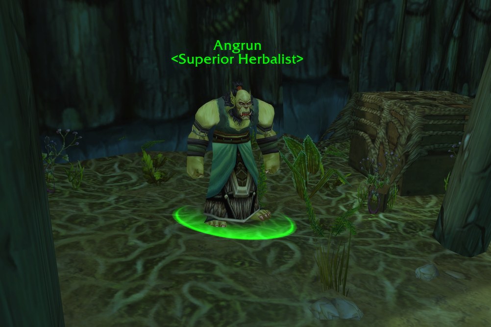 Angrun, Superior Herbalist in Stranglethorn Vale (WoW Classic)