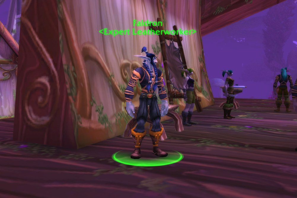 Faldron, Expert Leatherworker in Darnassus (WoW Classic)