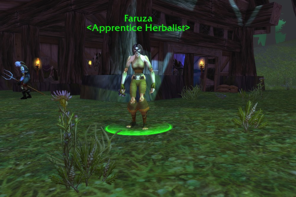 Faruza, Apprentice Herbalist in Tirisfal Glades (WoW Classic)
