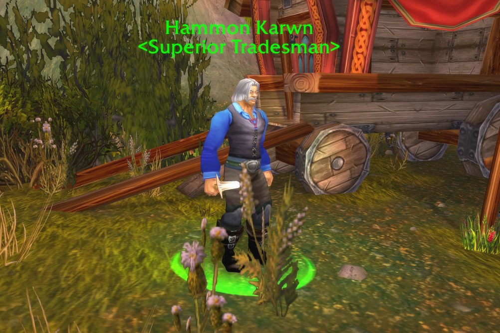 Hammon Karwn, Superior Tradesman in Arathi Highlands (WoW Classic)