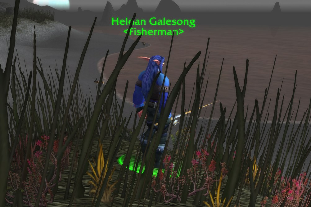 Heldan Galesong, Fisherman in Darkshore (WoW Classic)