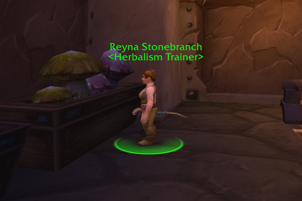 Reyna Stonebranch, Herbalism Trainer in Ironforge (WoW Classic)