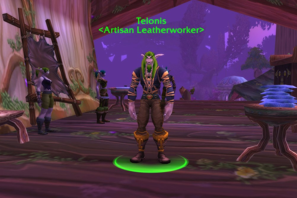 Telonis, Artisan Leatherworker in Darnassus (WoW Classic)